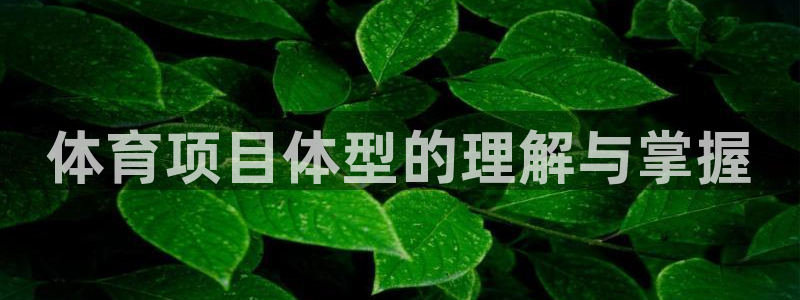 星欧娱乐平台过7O777