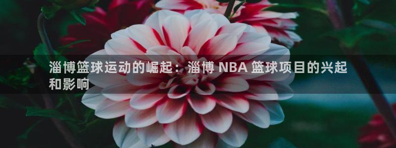 星欧娱乐app最新版本更新内容是什么