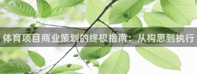 星娱乐文化传媒