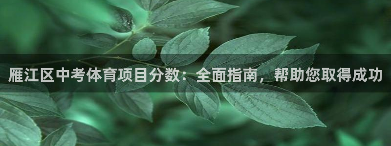 星欧娱乐是正规平台吗可靠吗