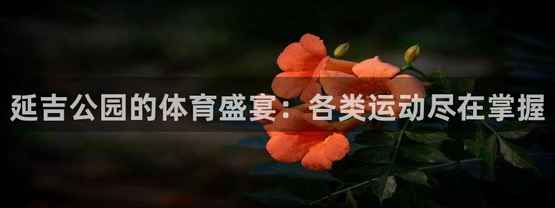 星奥盛典娱乐会所