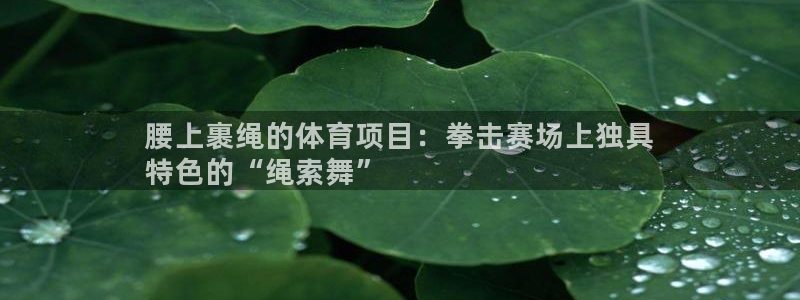 星欧娱乐扣款6II2是什么情况