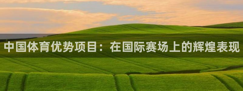 星欧娱乐联游戏评测