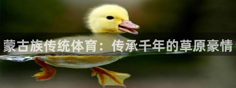 星欧娱乐扣费后解决方法