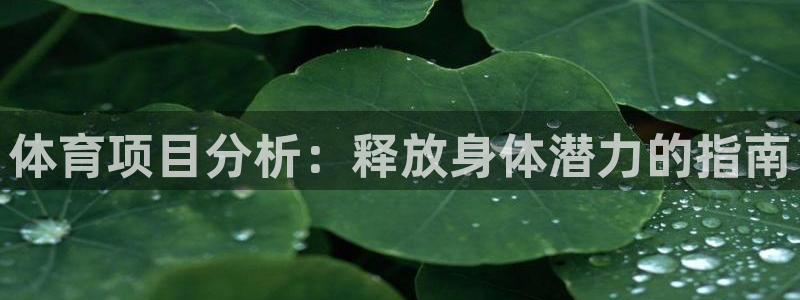 星欧娱乐公司创始人背景故事是什么