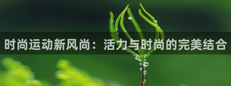 永韬星娱乐