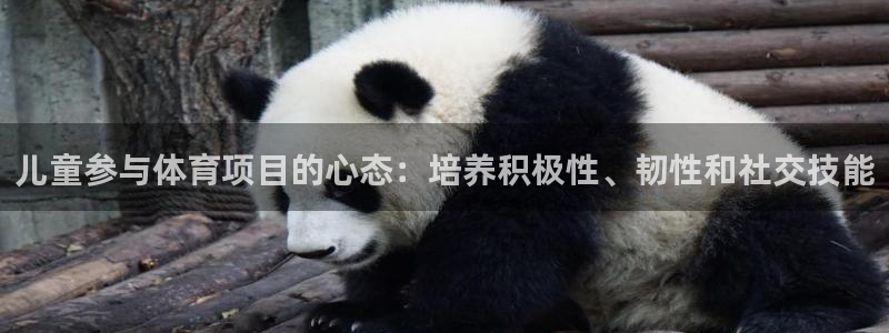 星欧娱乐伐官网注册