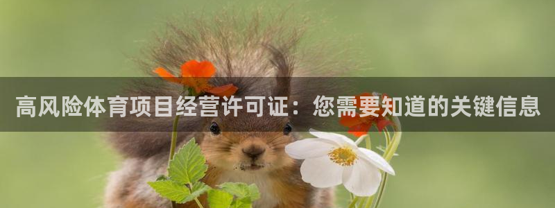 新星娱乐怎么开挂