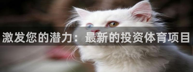 星欧娱乐平台测速线路设置
