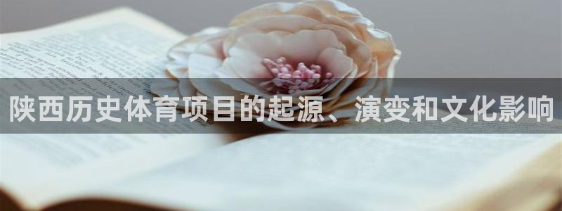 星欧娱乐联4.8.5.6.2.4.3下载
