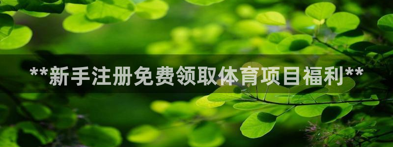 星澳娱乐公司怎么样