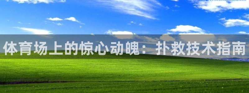 星欧娱乐联最新新闻