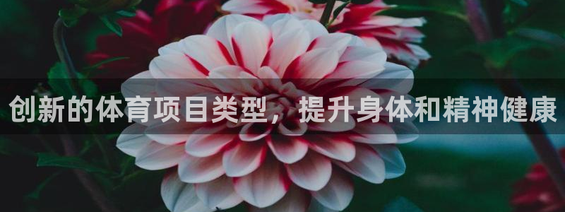 星欧娱乐挂机
