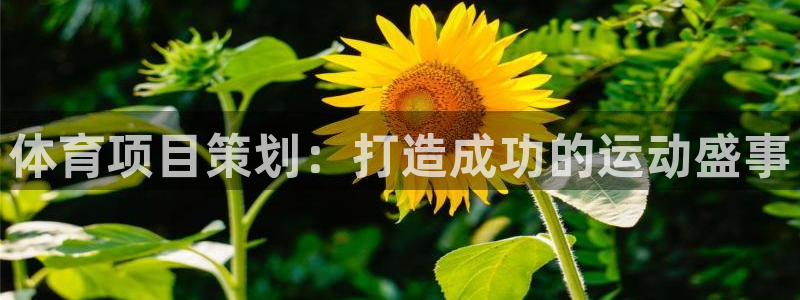 星欧娱乐是什么品牌