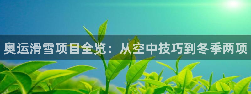 星欧娱乐银行卡怎么登录
