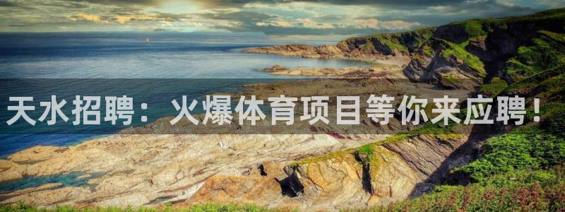 星奥娱乐艺人