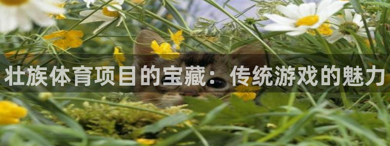 星欧娱乐扣款时间查询方法怎么查不了