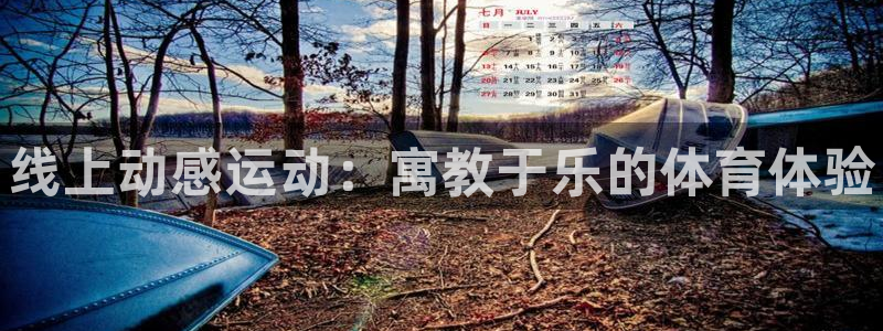 江苏星奥娱乐有限公司