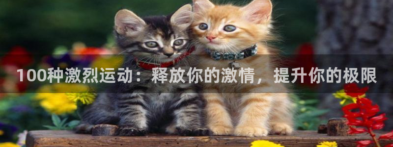 星欧娱乐的创始人背景故事简介