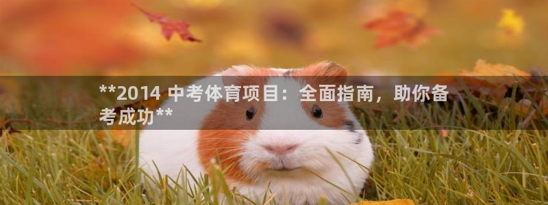 星娱乐online创作的原声这个歌曲叫什么名字