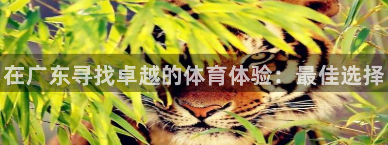 星欧娱乐伐官网注册