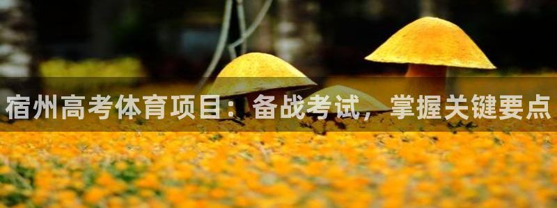 星欧娱乐用户名和密码