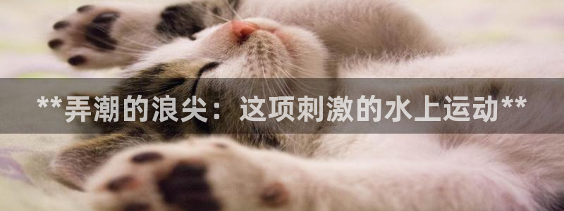 星欧娱乐公司地址