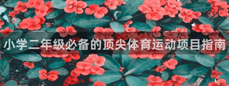 星欧娱乐会员优惠活动