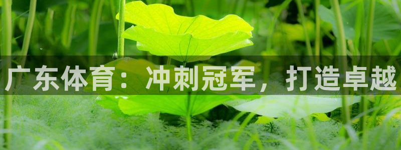 星欧娱乐属于什么档次的软件公司