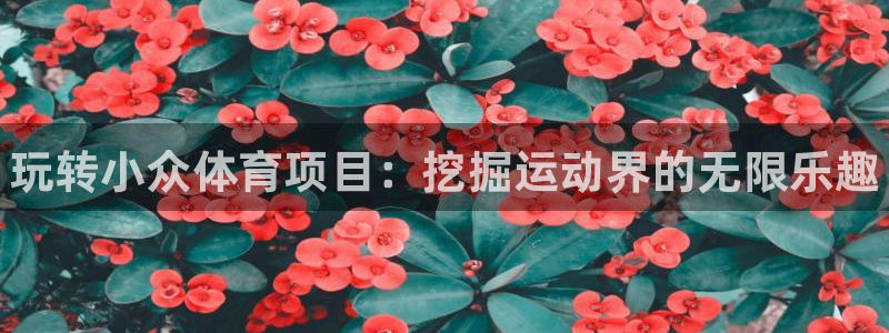 星欧娱乐平台怎么样啊知乎
