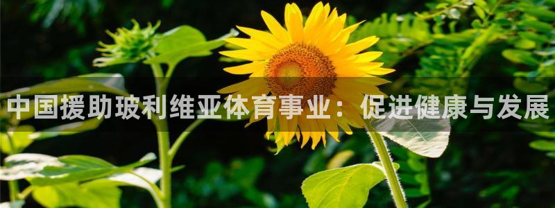 星欧娱乐工711.112怎么没有了