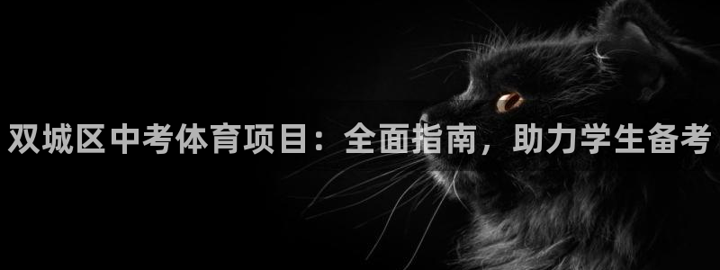 星欧娱乐的创始人背景故事介绍