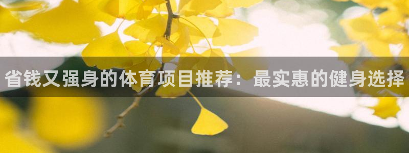 星欧娱乐v8.0.3最新版本更新内容介绍