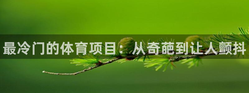 星欧娱乐官方客服联系方式是什么