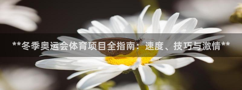 星奥娱乐集团股份有限公司